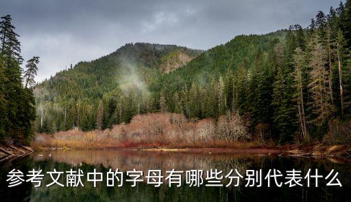 參考文獻中的字母有哪些分別代表什么