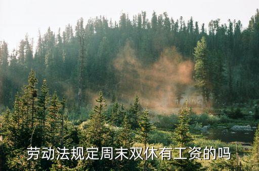 周末雙休，周未雙休是什么意思
