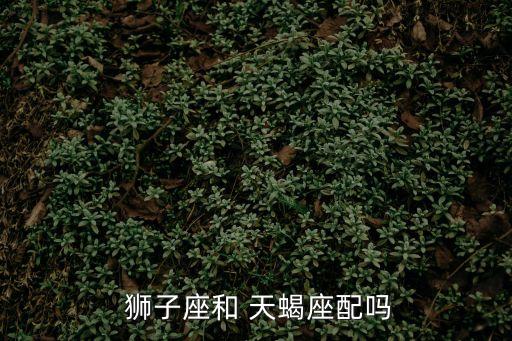 獅子座與天蝎座,獅子座與天蝎座的差別在于后者更具隱蔽力