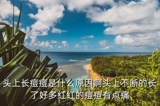 頭上長痘痘是什么原因啊頭上不斷的長了好多紅紅的痘痘有點痛