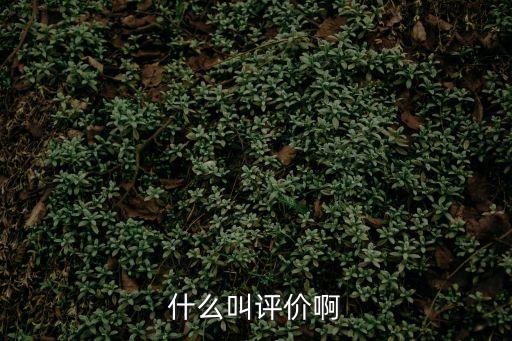 什么叫評價啊