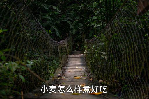 小麥怎么樣煮好吃