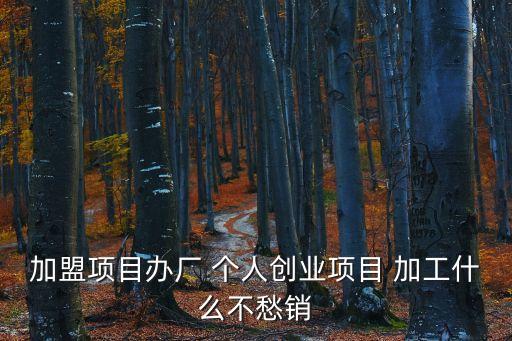 加盟辦廠，加盟項目辦廠 個人創業項目 加工什么不愁銷