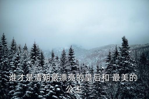 誰才是清朝最漂亮的皇后和 最美的 公主