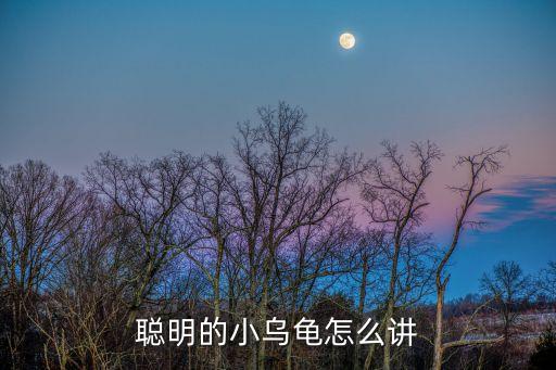聰明的小烏龜怎么講