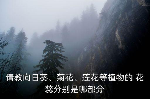 頂進(jìn)花蕊,這些花的花蕊非常小需要用放大鏡或顯微鏡才能觀察到