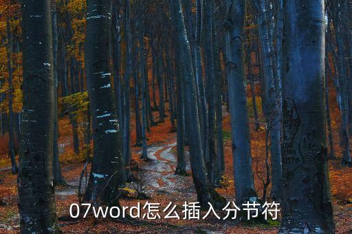 07word怎么插入分節符