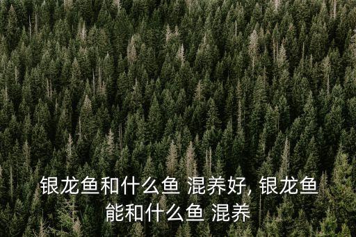 銀龍魚(yú)混養(yǎng),金銀魚(yú)混養(yǎng)適合中上層魚(yú)類(lèi)或中上檔魚(yú)類(lèi)混養(yǎng)