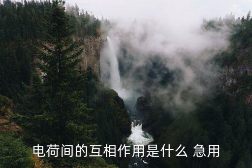 電荷間的相互作用，電荷間的互相作用是什么 急用