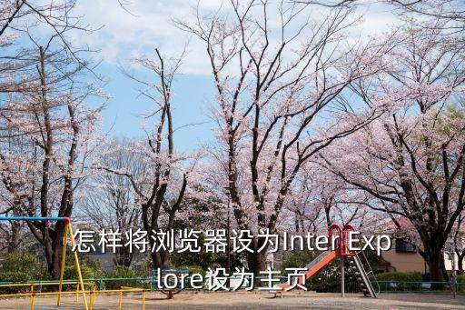 怎樣將瀏覽器設為Inter Explore設為主頁