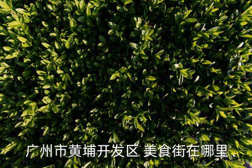 廣州美食街,廣州黃埔開(kāi)發(fā)區(qū)美食街:上下九步行街最好