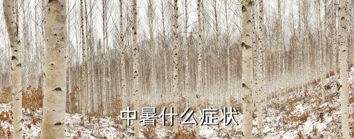 中暑什么癥狀,omen中暑可能出現口渴頭暈、耳鳴等癥狀