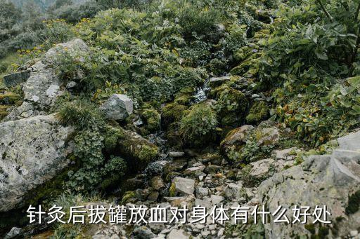 針刺放血，放血降血壓