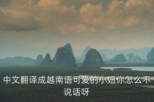 中文翻譯成越南語可愛的小妞你怎么不說話呀