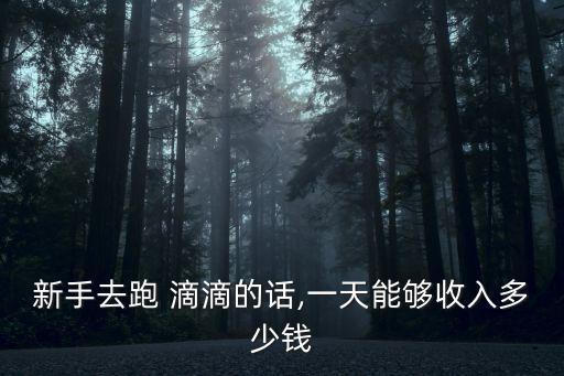 跑滴滴一天能掙多少錢,一天600元網約車司機補貼多賺的多
