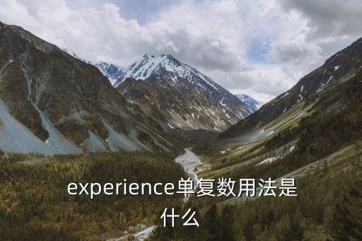 experience可數嗎