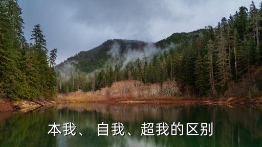 自我和本我的區別,弗洛伊德:自我是馬車夫自我也是馬