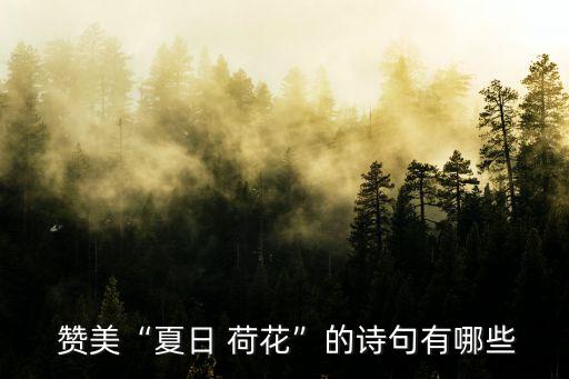 贊美荷花的詩,荷花荷葉相互輝映荷葉落下時花朵凋謝了