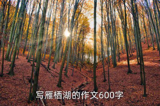 寫雁棲湖的作文600字