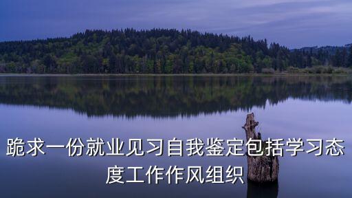 見習期自我鑒定，實習自我鑒定怎么寫啊