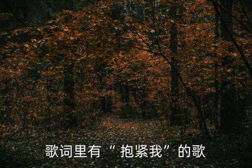 歌詞里有“ 抱緊我”的歌