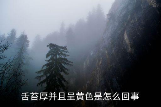 舌苔厚并且呈黃色是怎么回事
