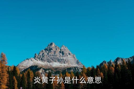 炎黃子孫,炎黃子孫泛指中華民族的后裔