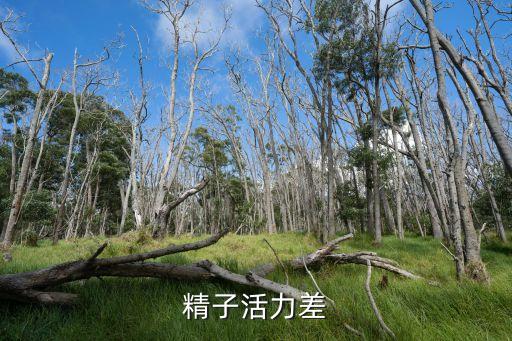 精子活力差，精子活力差