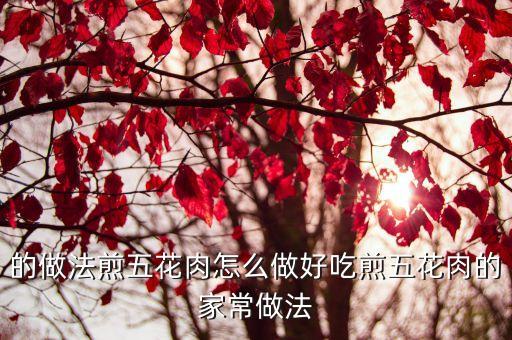 的做法煎五花肉怎么做好吃煎五花肉的家常做法