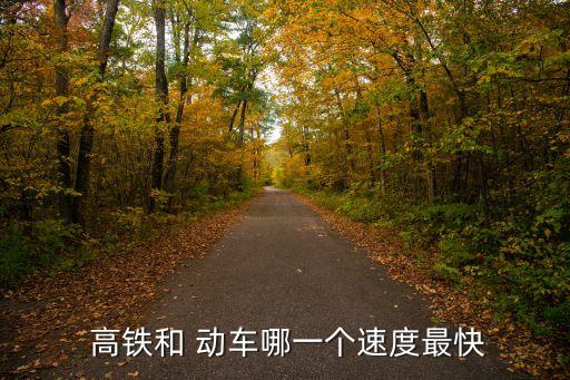 動車和高鐵哪個快,高鐵和動車有何不同?