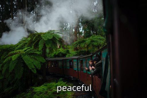 peaceful,安靜無聲是否是個好消息?
