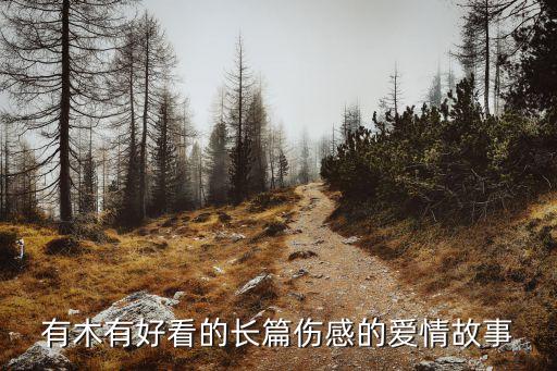 長篇愛情故事，有木有好看的長篇傷感的愛情故事