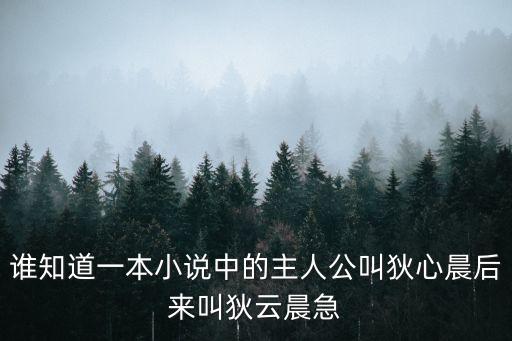 劍氣驚鴻，主角叫云辰還有個(gè)妹妹但不是親生的貌似是武俠小說(shuō)啊忘記書名了