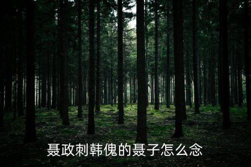 聶政刺韓傀的聶子怎么念