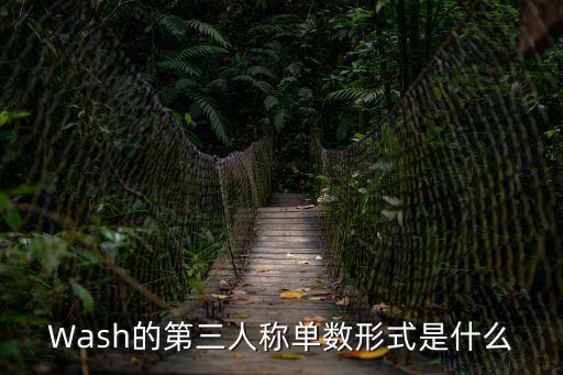 Wash的第三人稱單數形式是什么