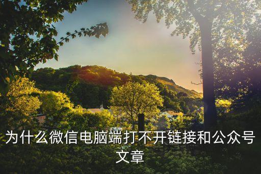 電腦微信打不開(kāi)，在電腦上微信怎么打不開(kāi)怎么回事
