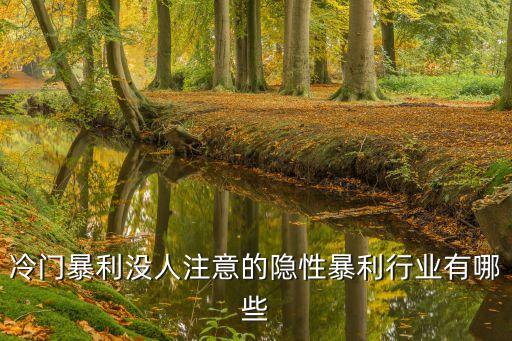 冷門暴利沒人注意的隱性暴利行業有哪些