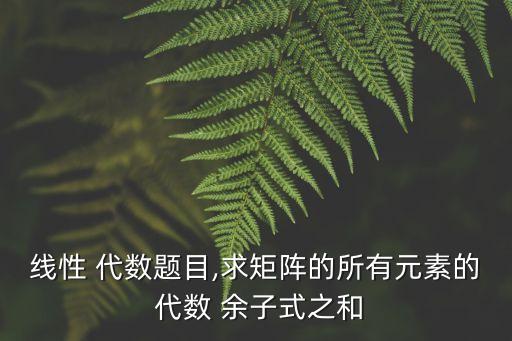線性 代數(shù)題目,求矩陣的所有元素的 代數(shù) 余子式之和