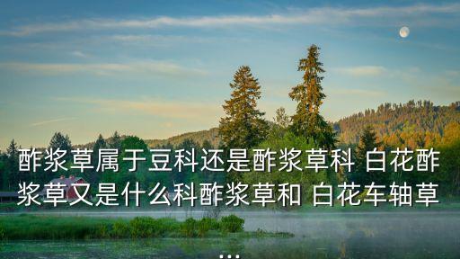 白花酢漿草,紅車(chē)軸草也叫白草酢漿草有很多顏色