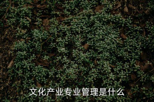 文化產(chǎn)業(yè)管理專業(yè)，文化產(chǎn)業(yè)管理專業(yè)就業(yè)前景怎么樣