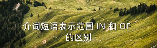 介詞短語表示范圍 IN 和 OF 的區別