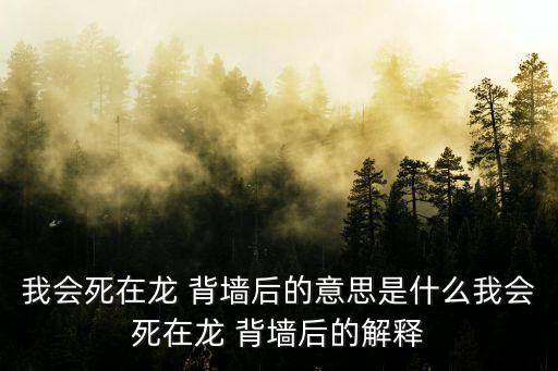 我會(huì)死在龍 背墻后的意思是什么我會(huì)死在龍 背墻后的解釋