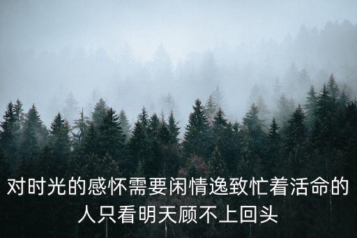對(duì)時(shí)光的感懷需要閑情逸致忙著活命的人只看明天顧不上回頭
