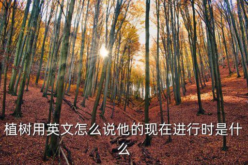 植樹(shù)用英文怎么說(shuō)他的現(xiàn)在進(jìn)行時(shí)是什么