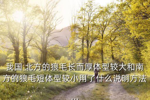 北方的狼,南北狼毛短體型小適應炎熱天氣和保暖