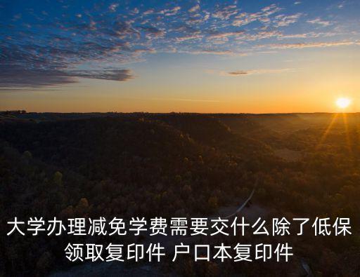 大學辦理減免學費需要交什么除了低保領取復印件 戶口本復印件