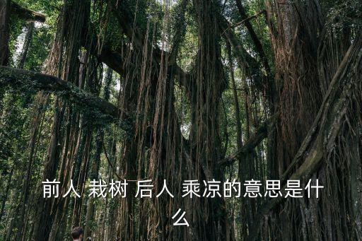  前人 栽樹(shù) 后人 乘涼的意思是什么