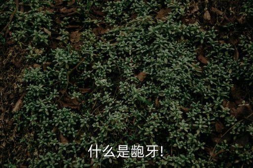 什么是齙牙!