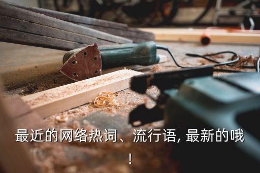 最近的網(wǎng)絡(luò)熱詞、流行語, 最新的哦!