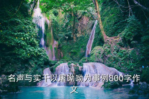 名聲與實(shí)干以屠呦呦為事例800字作文
